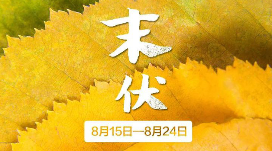 末伏時節(jié)！金環(huán)電器提醒你謹(jǐn)記這些注意事項