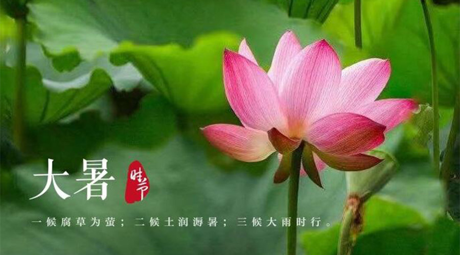 大暑時(shí)節(jié)！金環(huán)電器提醒大家要注意的事項(xiàng)