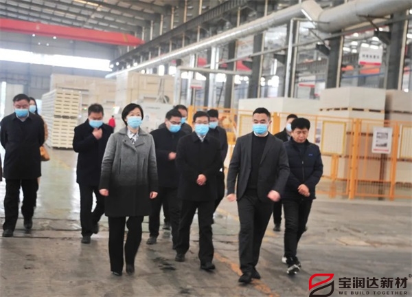 【要聞】我市市長張曉麗一行來訪寶潤達(dá)